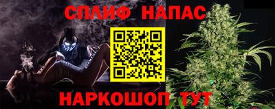 крисы Моздок