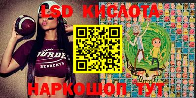 крисы Моздок