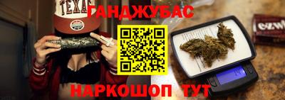 крисы Моздок