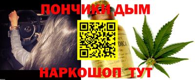 крисы Моздок