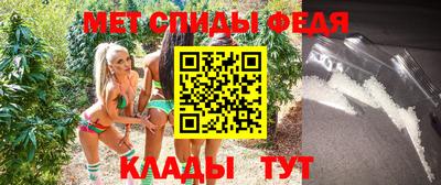 крисы Моздок