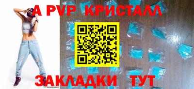 крисы Моздок
