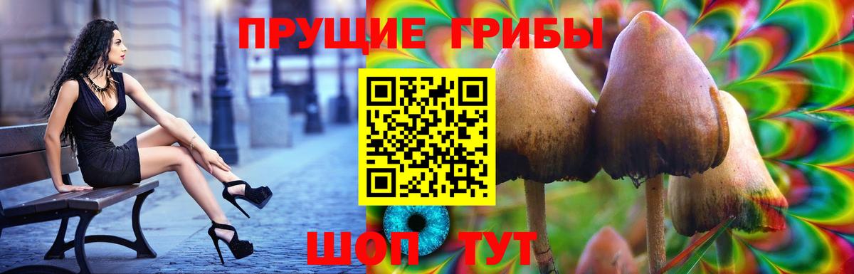 Псилоцибиновые грибы мухоморы  Вход с VPN  Чапаевск 