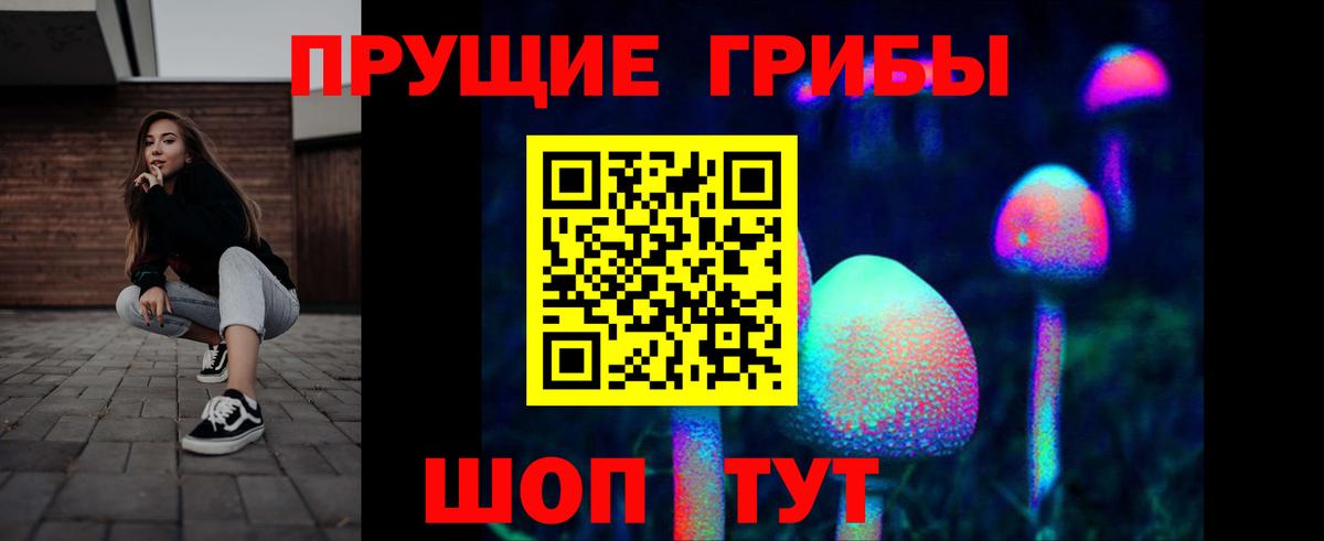 Галлюциногенные грибы Psilocybine cubensis Чапаевск